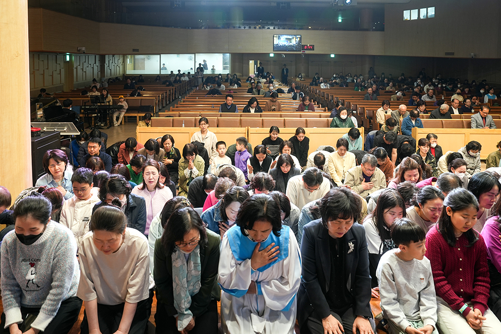 20230403-115.jpg