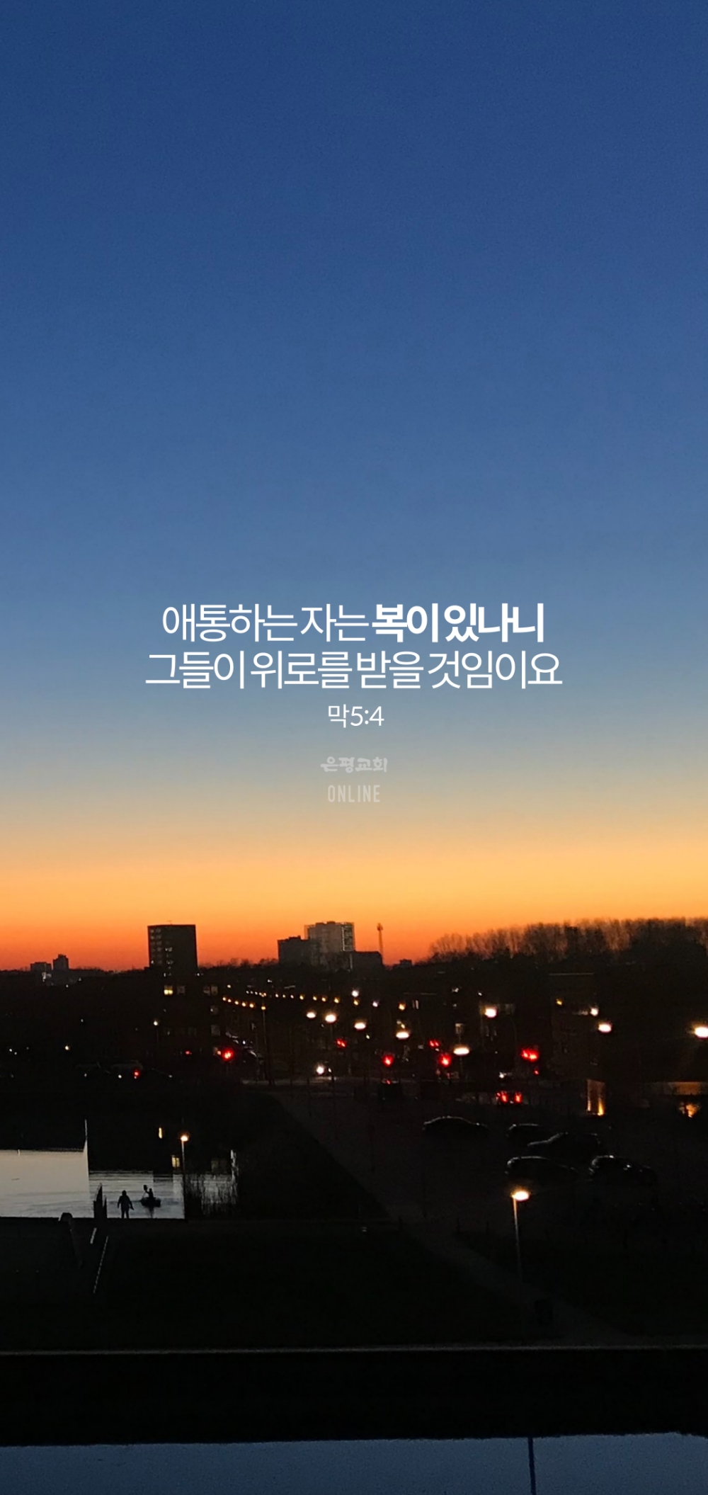11004.jpg