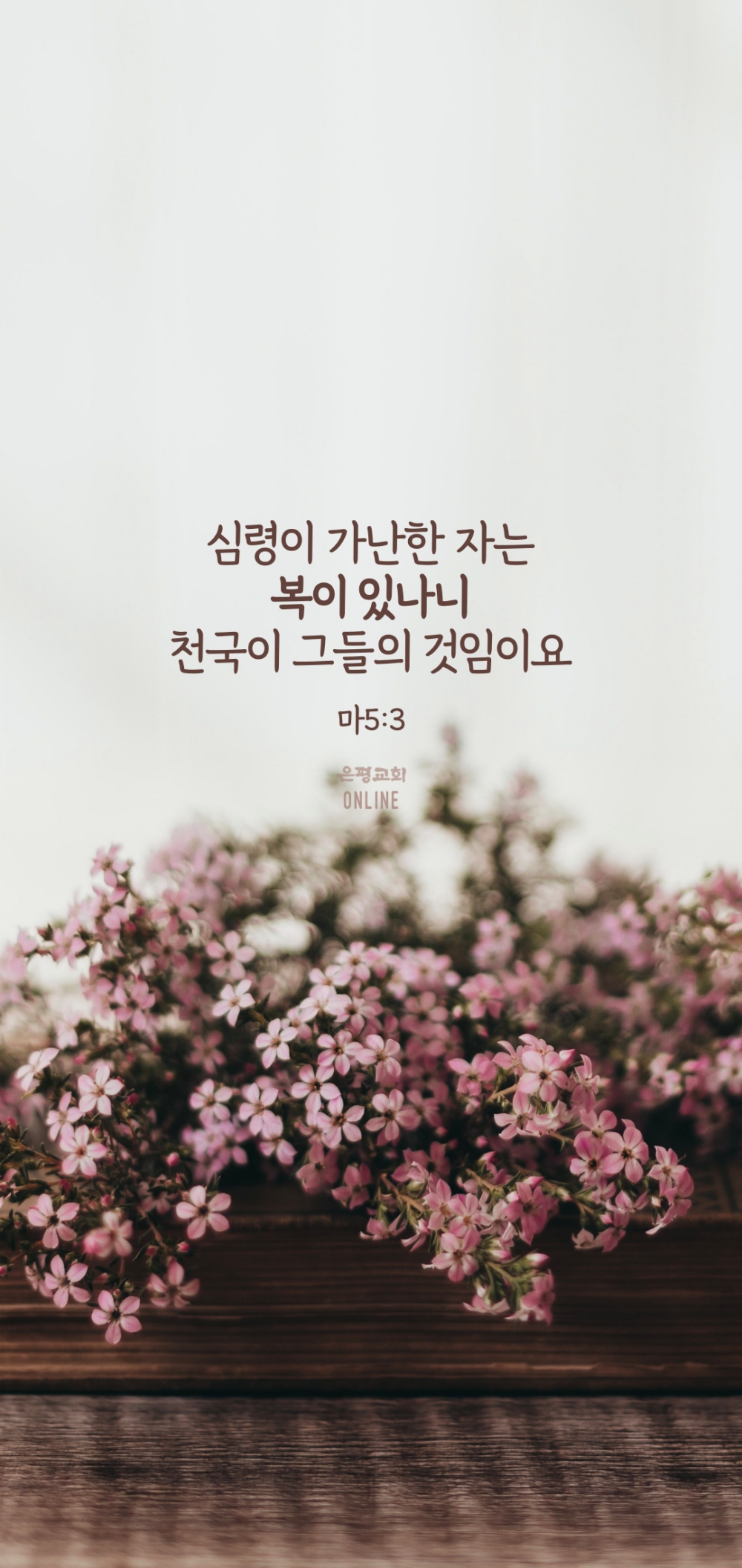 11003.jpg