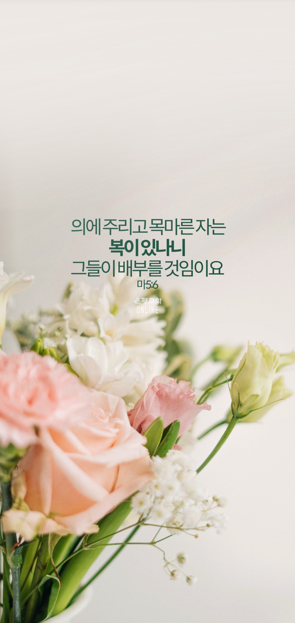 11006.jpg