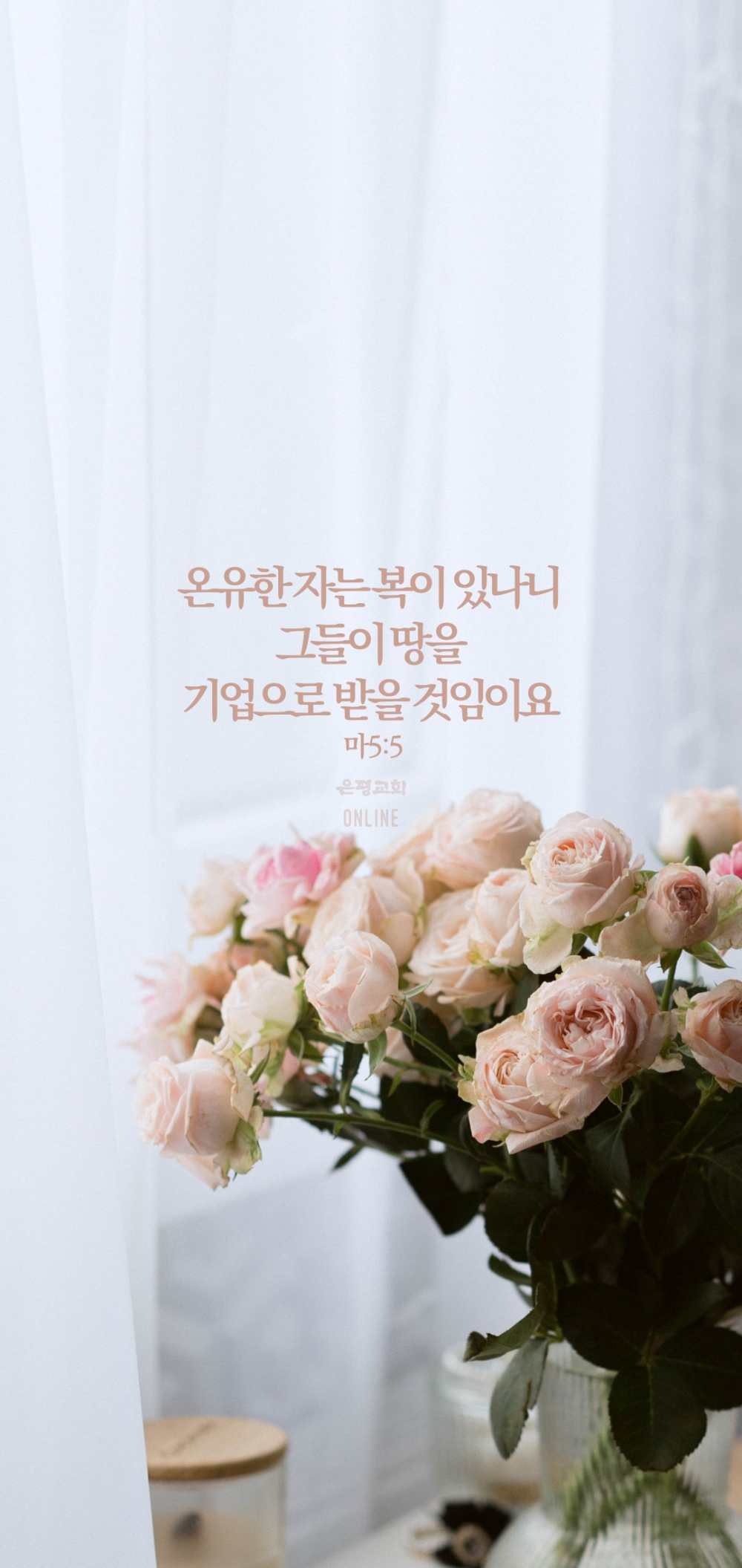 11005.jpg