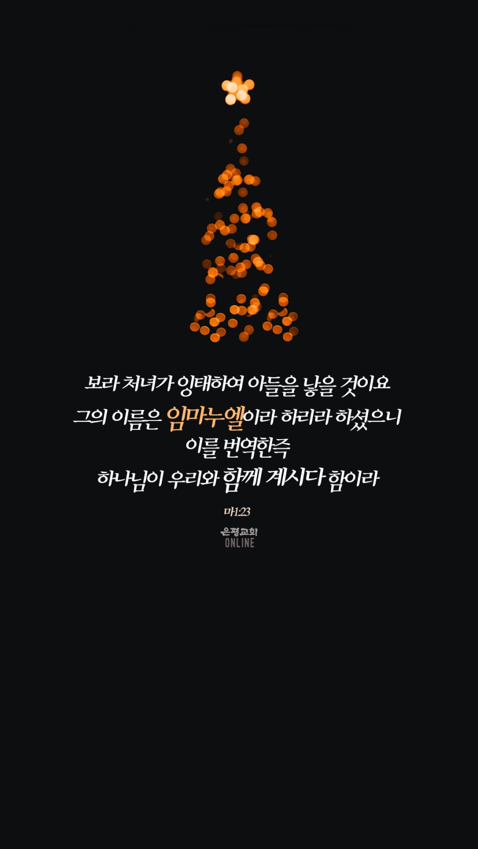 1212-1.jpg