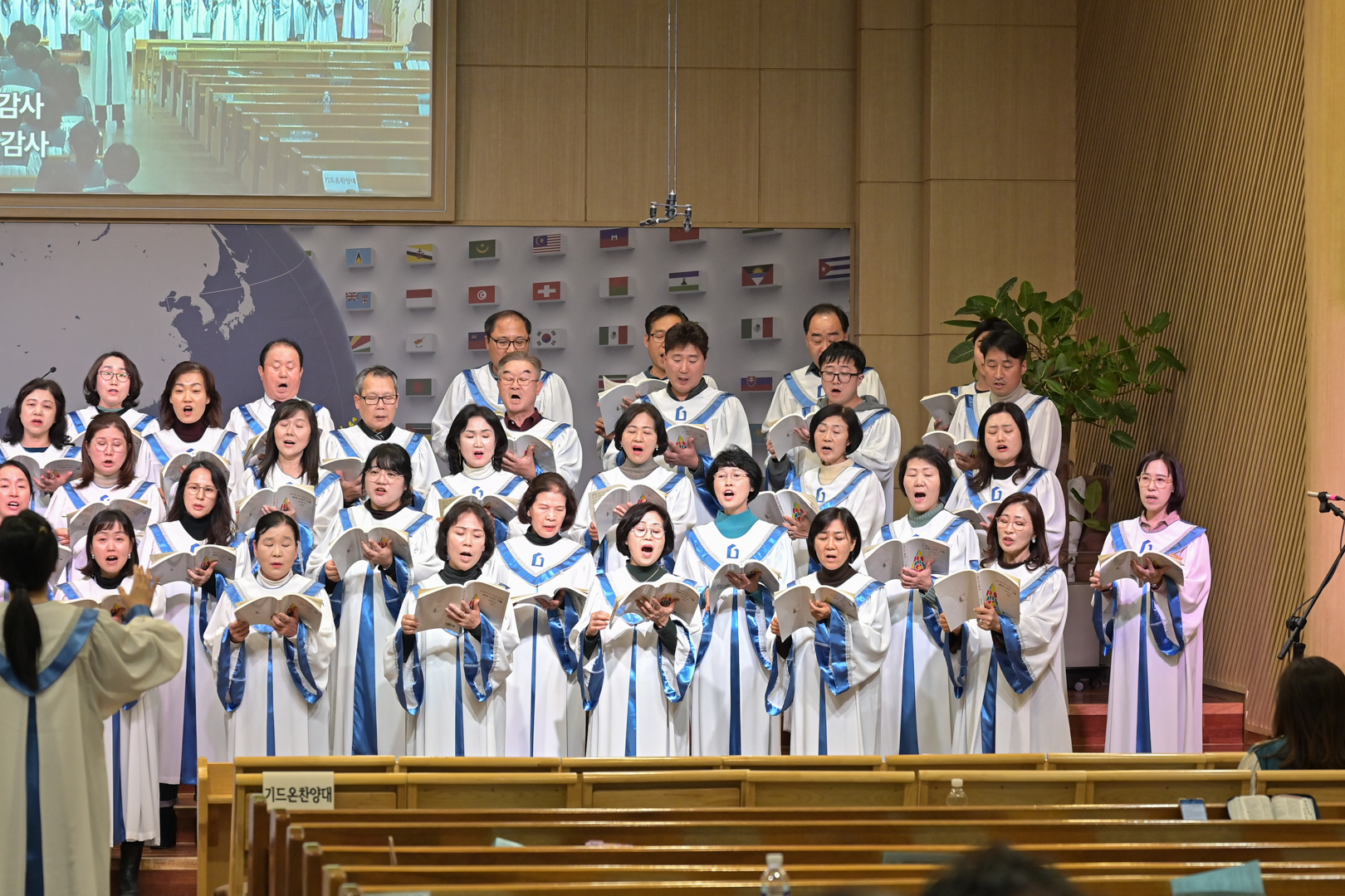 BOM_4765.jpg