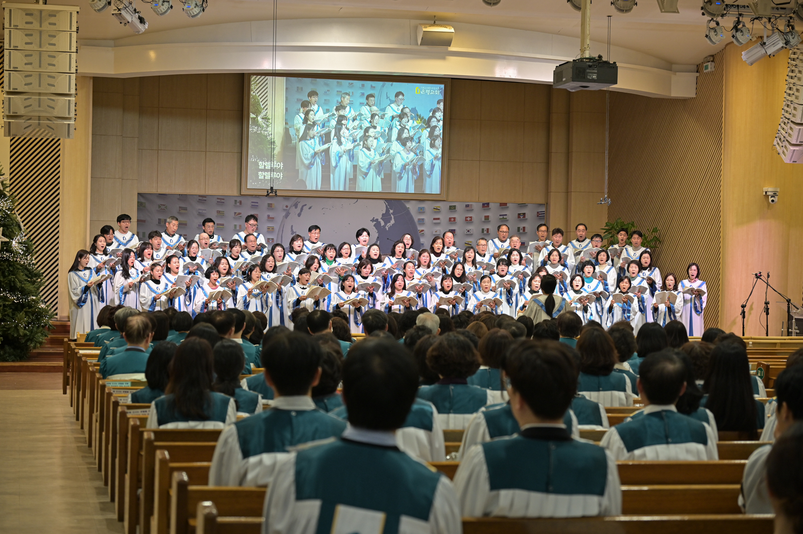 BOM_4782.jpg