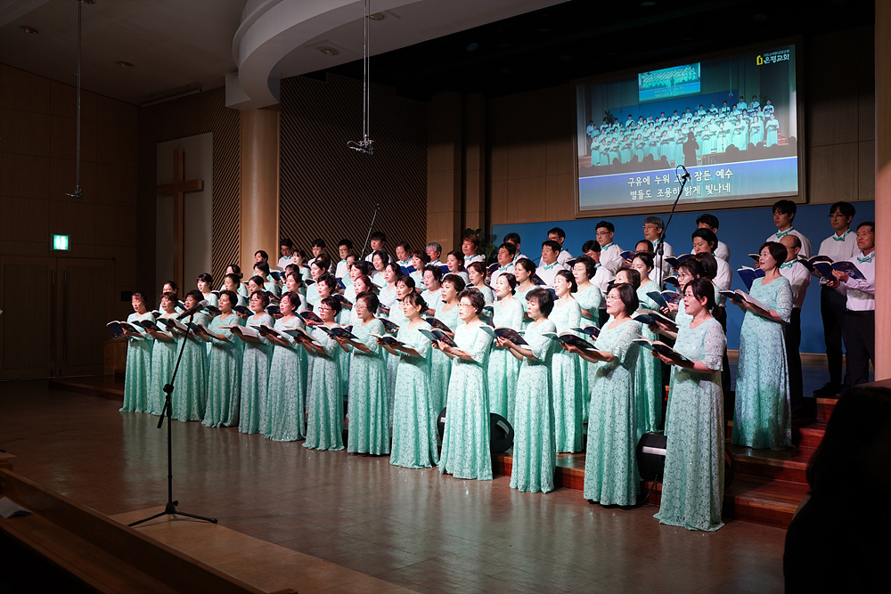 DSC08981.jpg