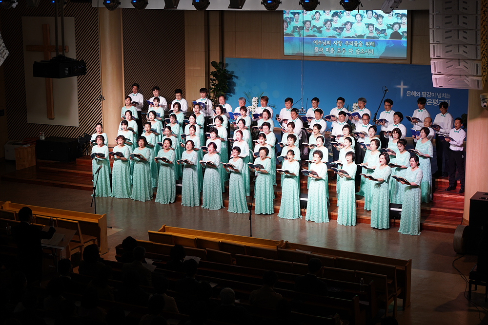 DSC08988.jpg