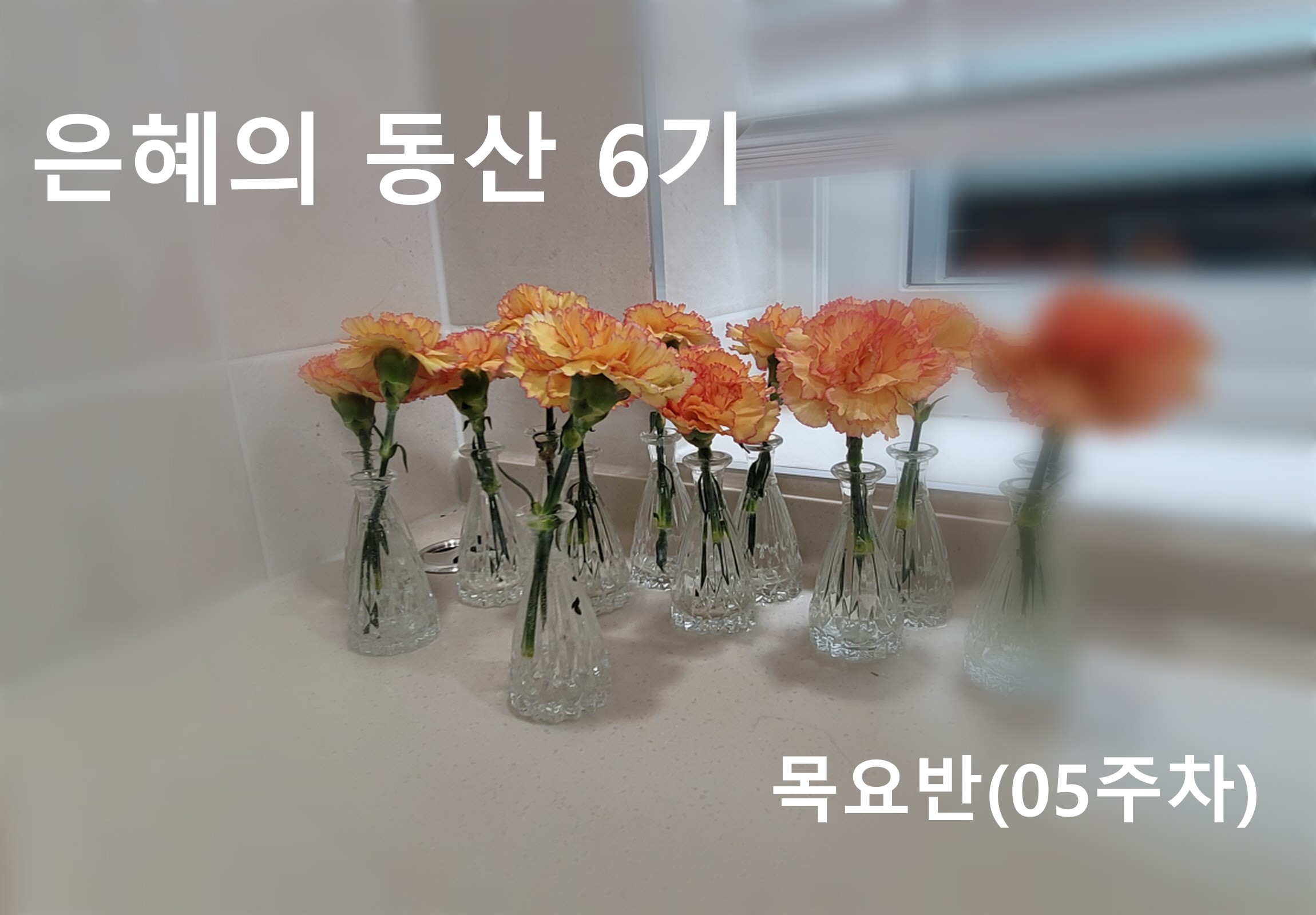 표지01.jpg