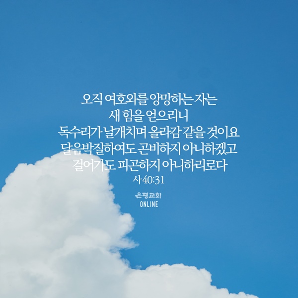 KakaoTalk_20210531_204822562.jpg