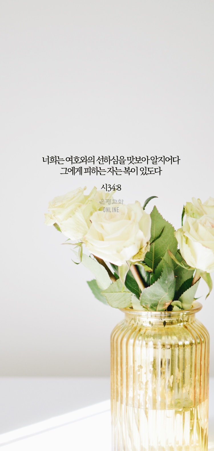 KakaoTalk_20210531_204830540_05.jpg