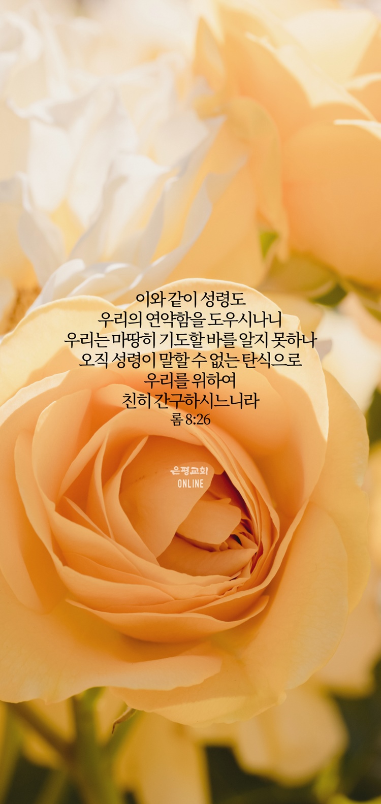 KakaoTalk_20210531_204830540_07.jpg