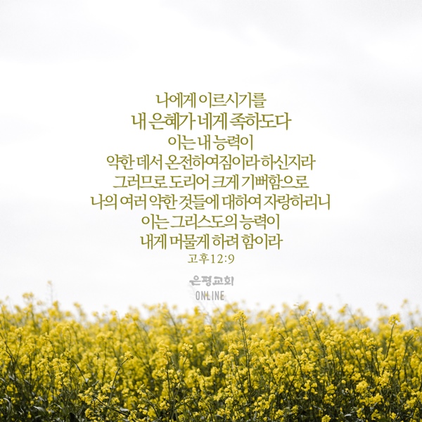 KakaoTalk_20210531_204822562_04.jpg