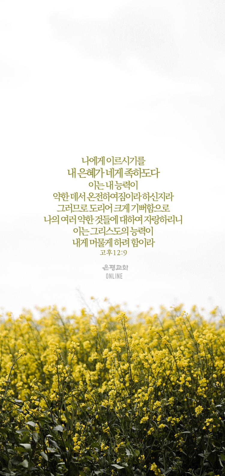 KakaoTalk_20210531_204830540_04.jpg