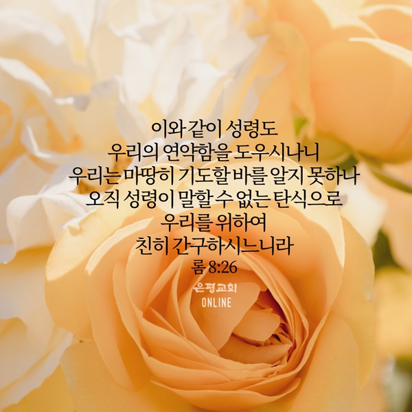 KakaoTalk_20210531_204822562_06.jpg