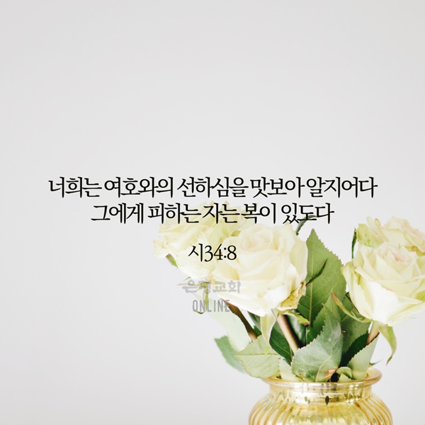 KakaoTalk_20210531_204822562_05.jpg