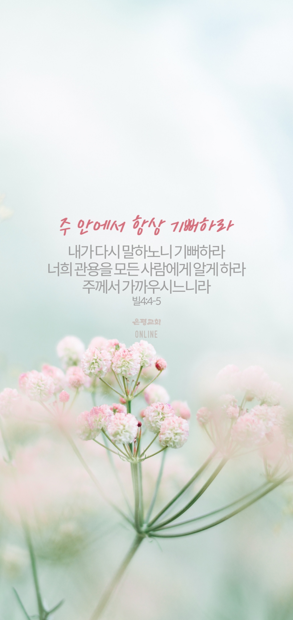 11003.jpg