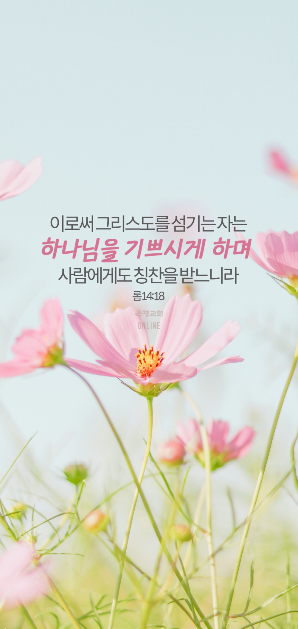 11006.jpg