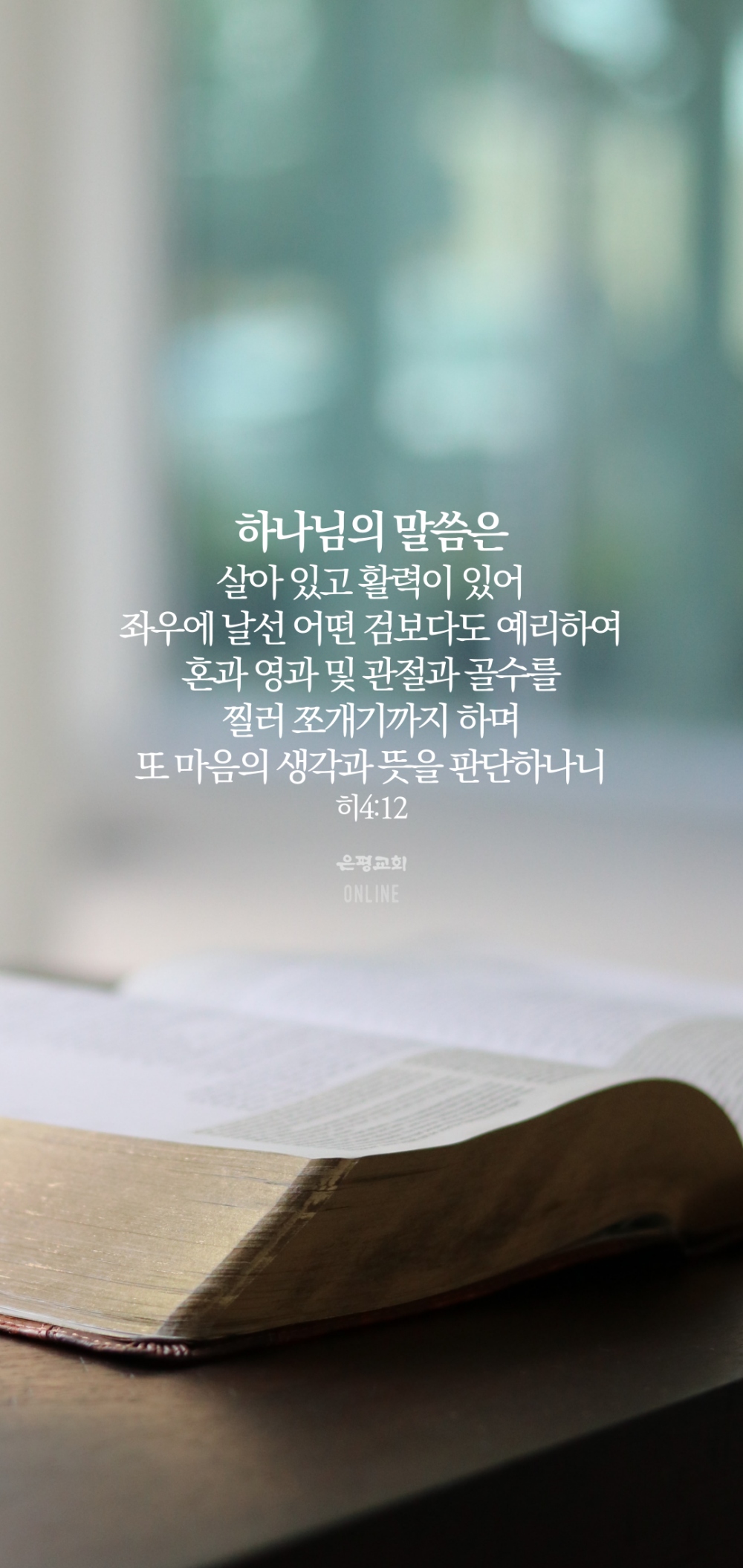 11004.jpg