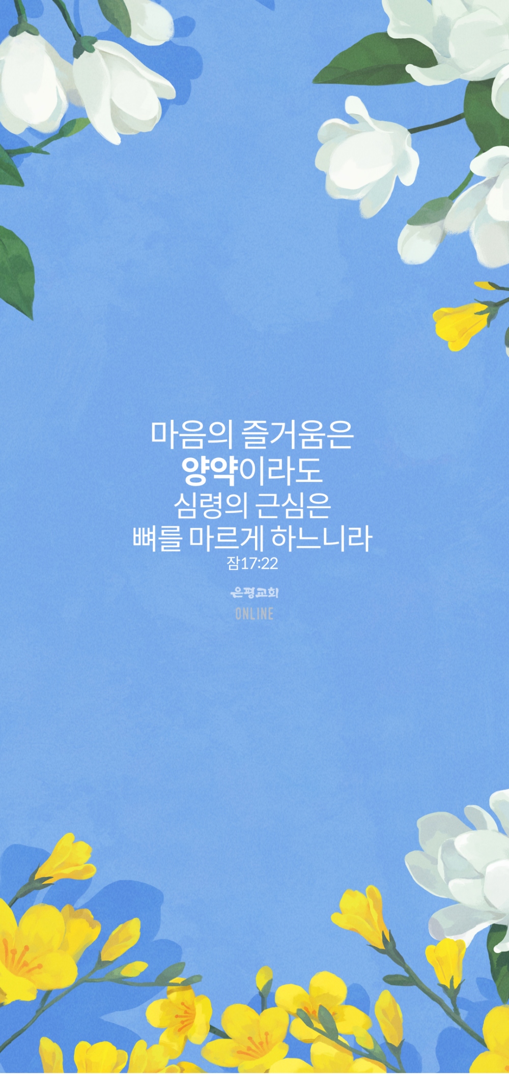 11001.jpg