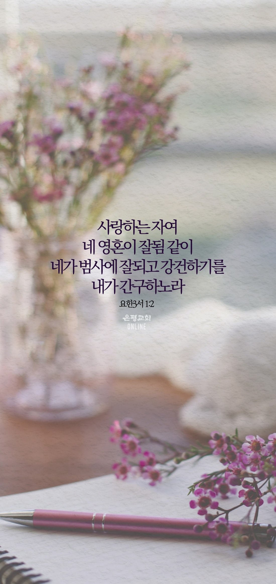 11월11-7.jpg