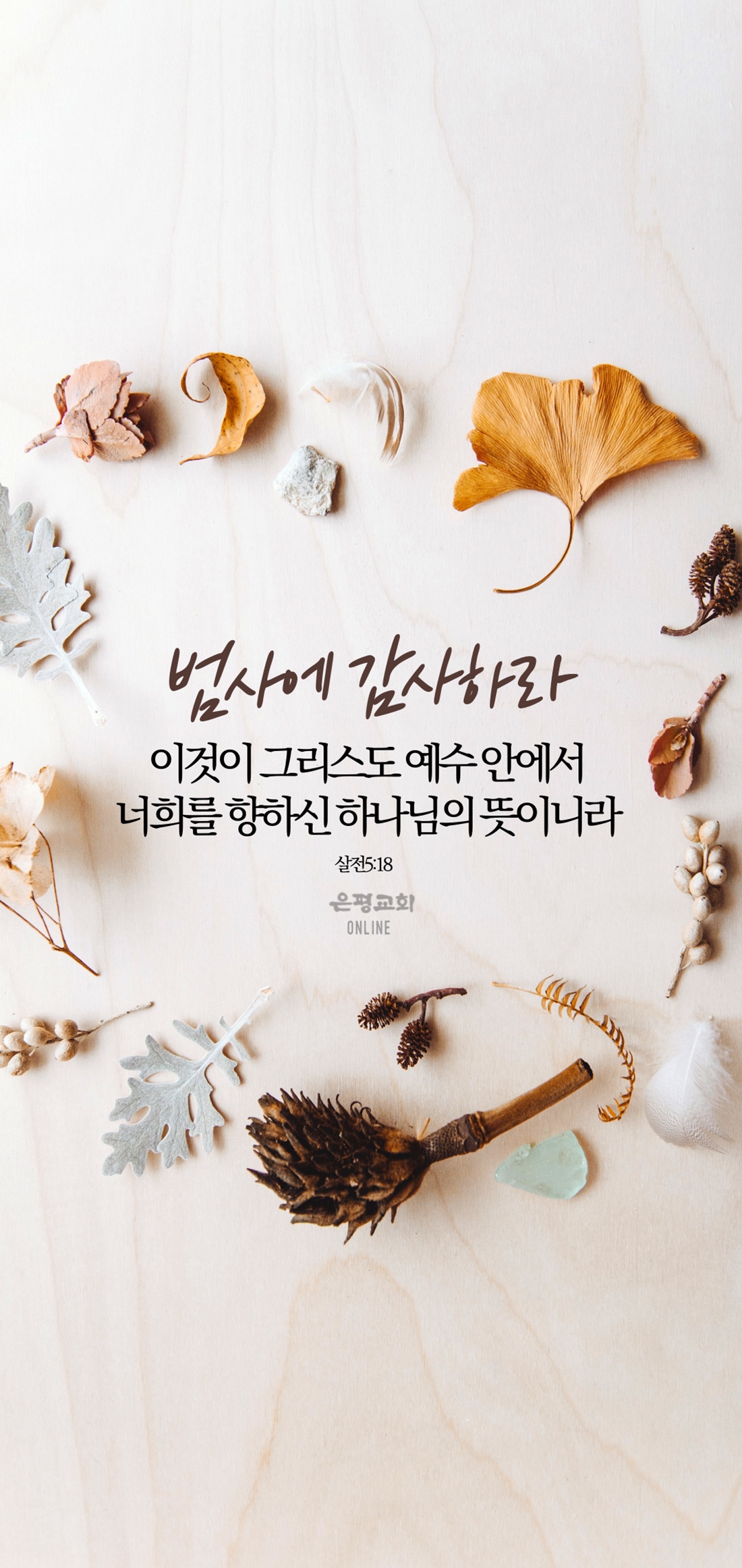 11월11-3.jpg