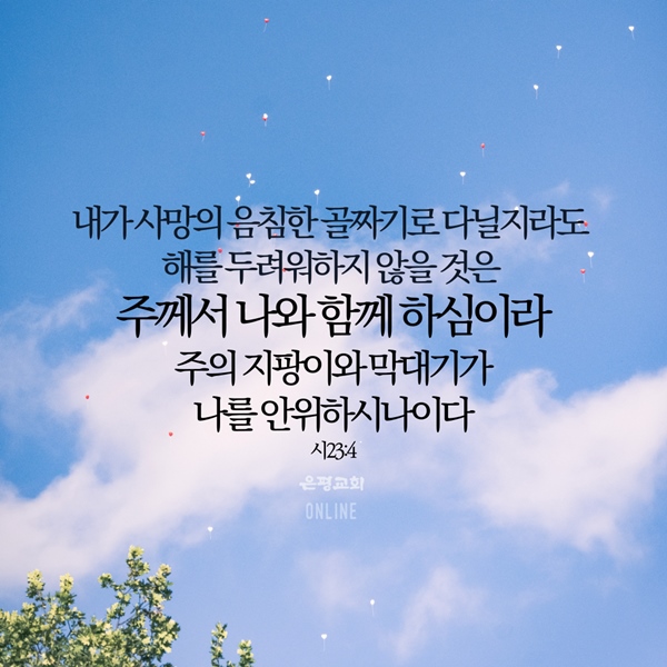 11월003.jpg
