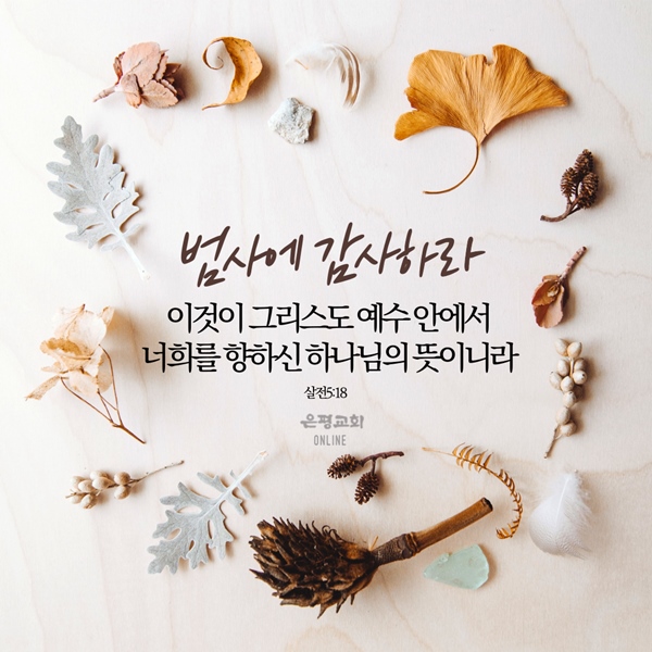 11월002.jpg