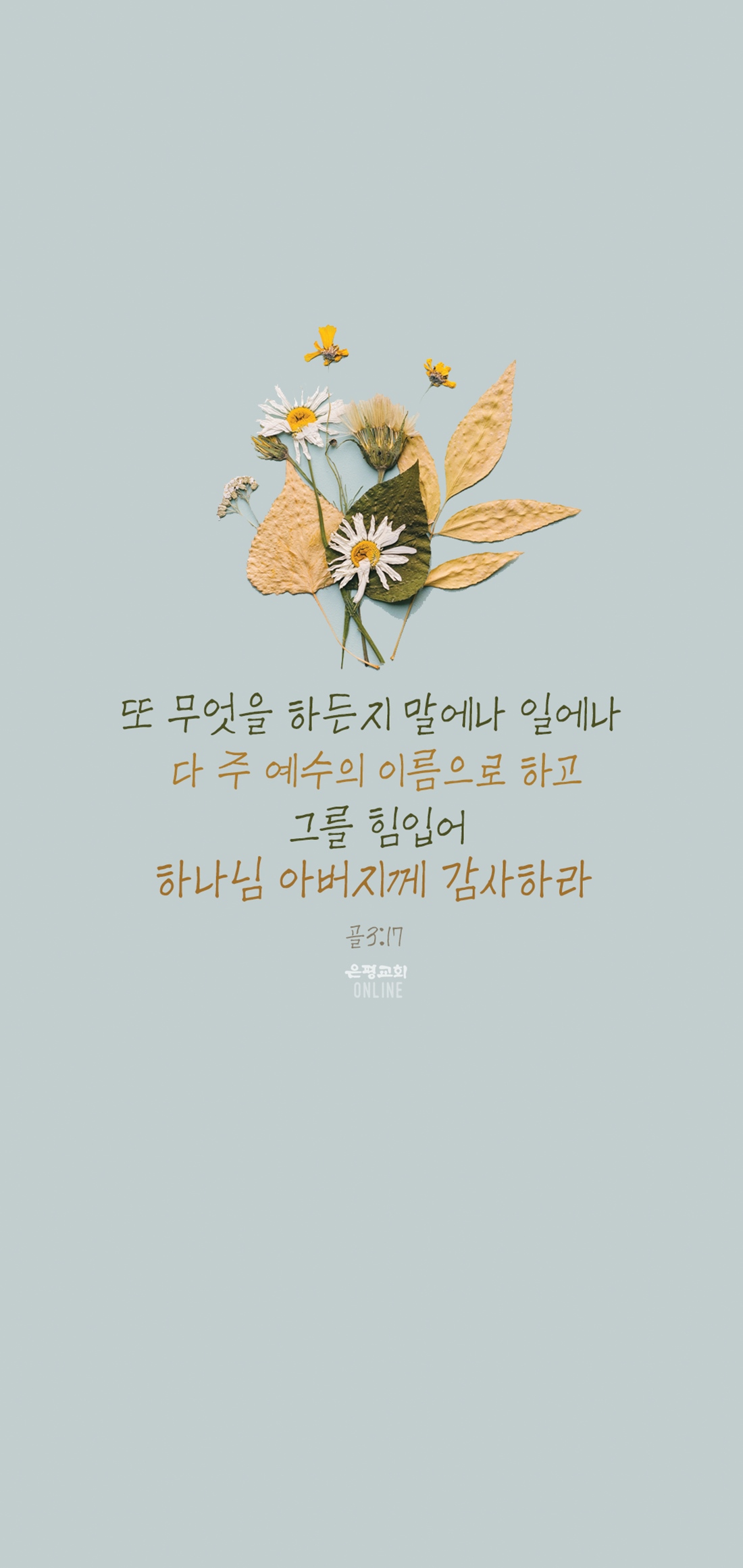 11월11-1.jpg