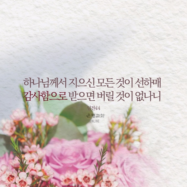 11월004.jpg
