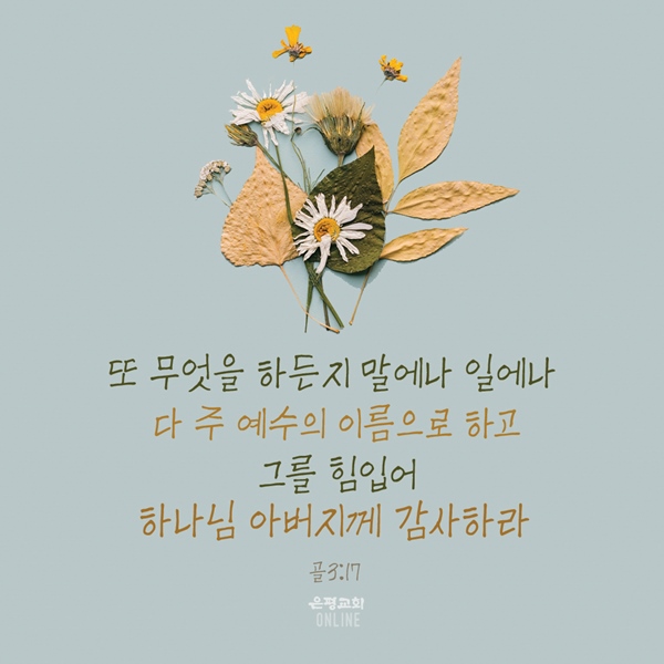 11월4.jpg