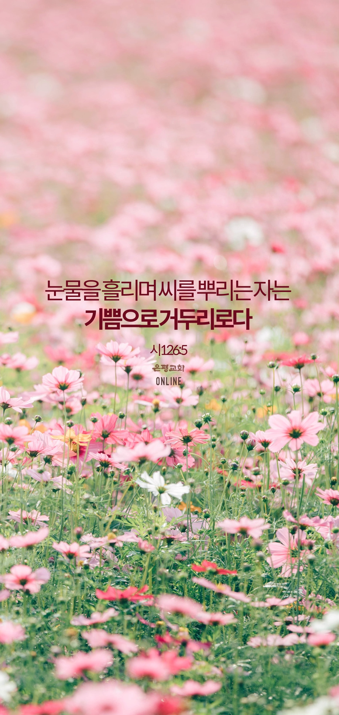 11월11-6.jpg