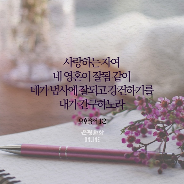 11월005.jpg