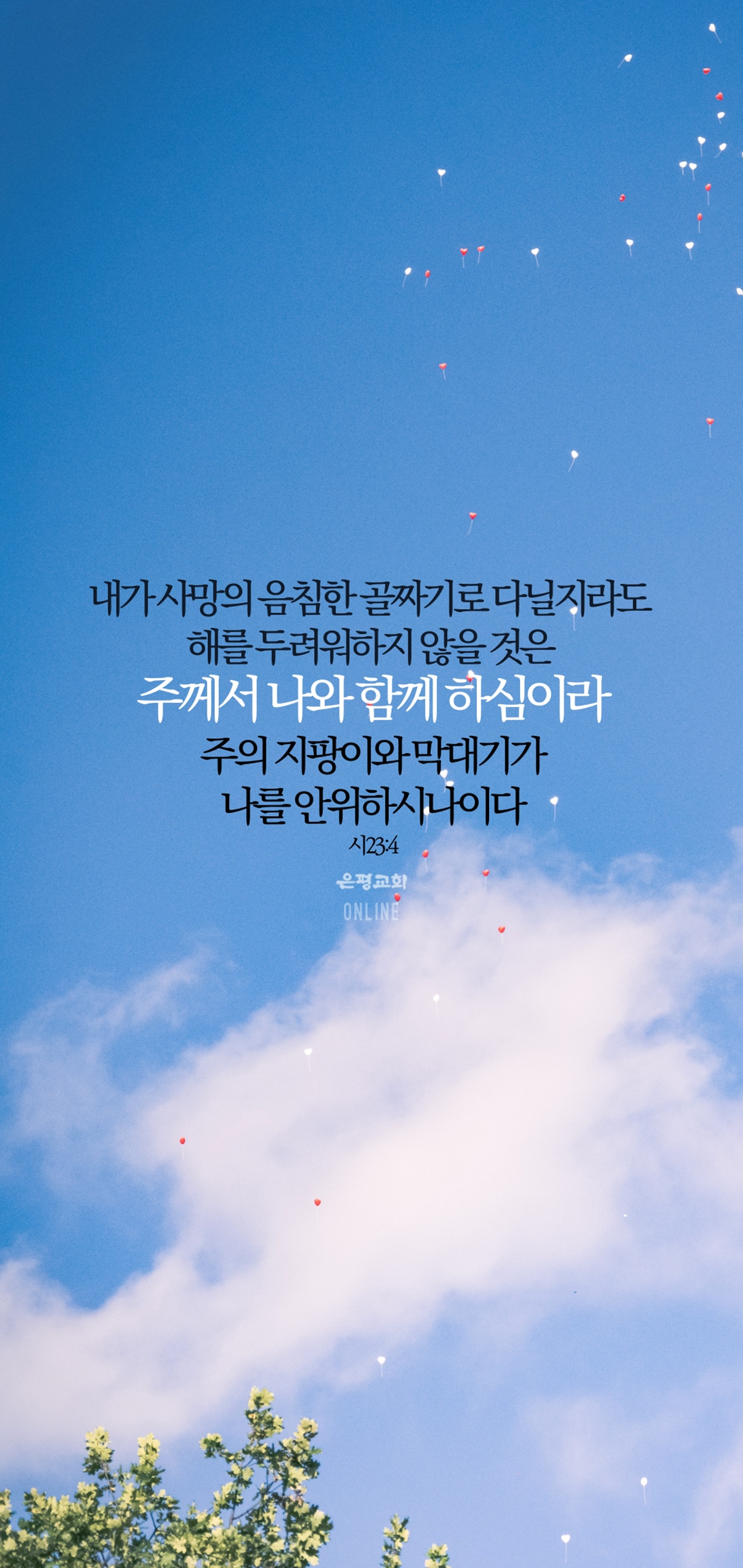 11월11-0.jpg