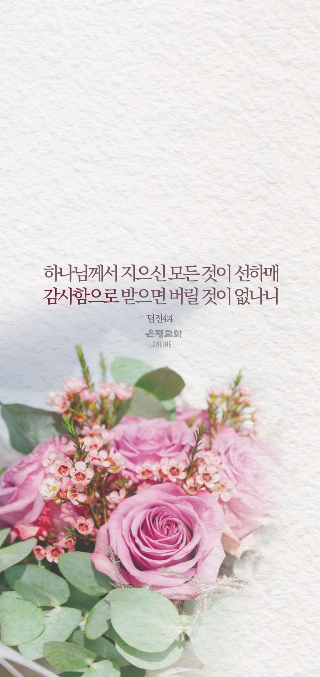 11월11-4.jpg