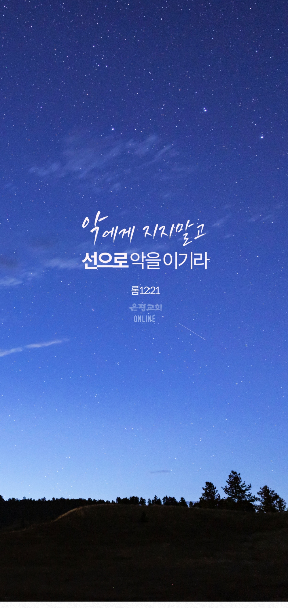 월005.jpg