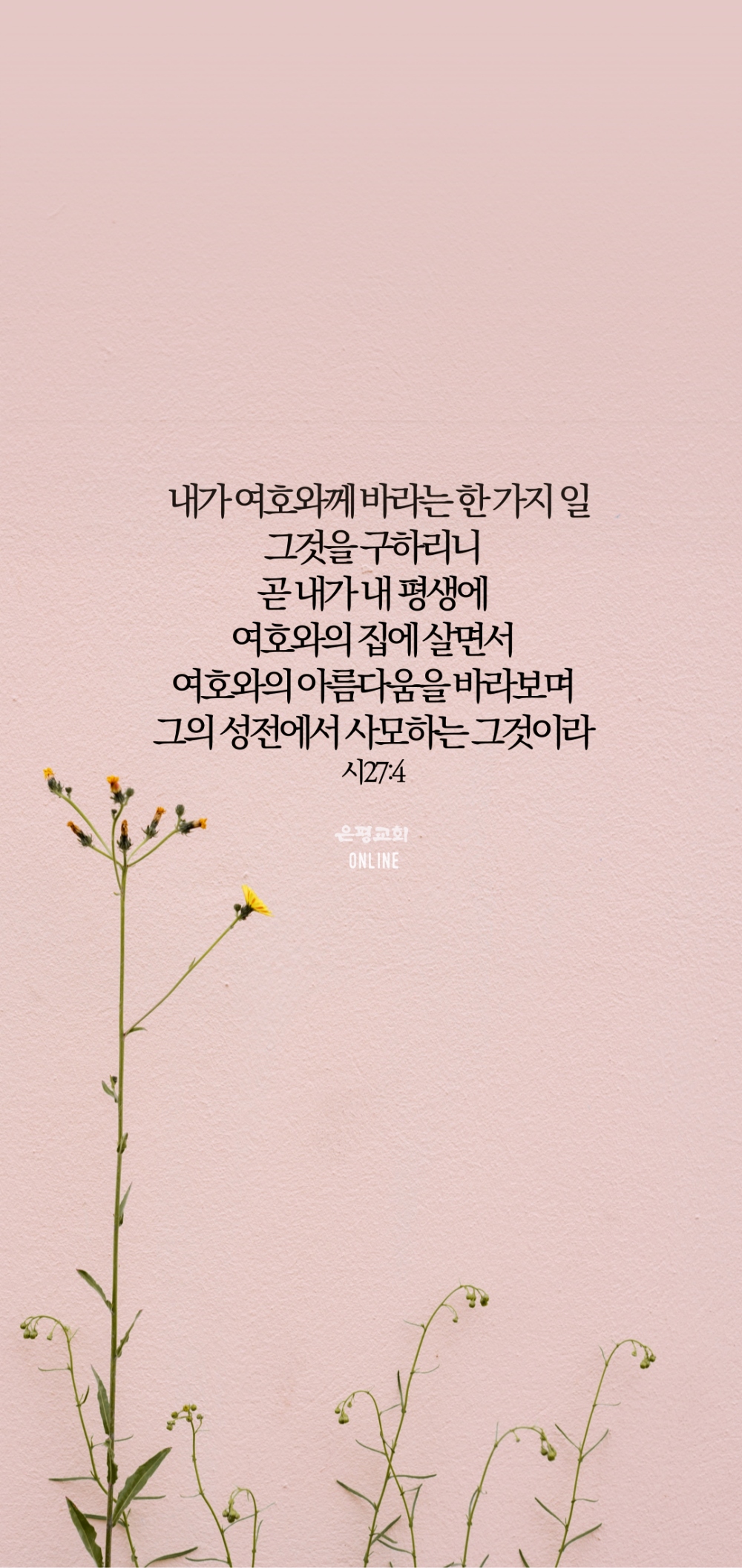 월002.jpg