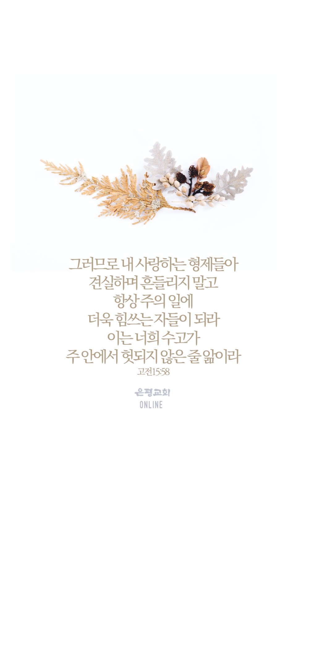 월006.jpg