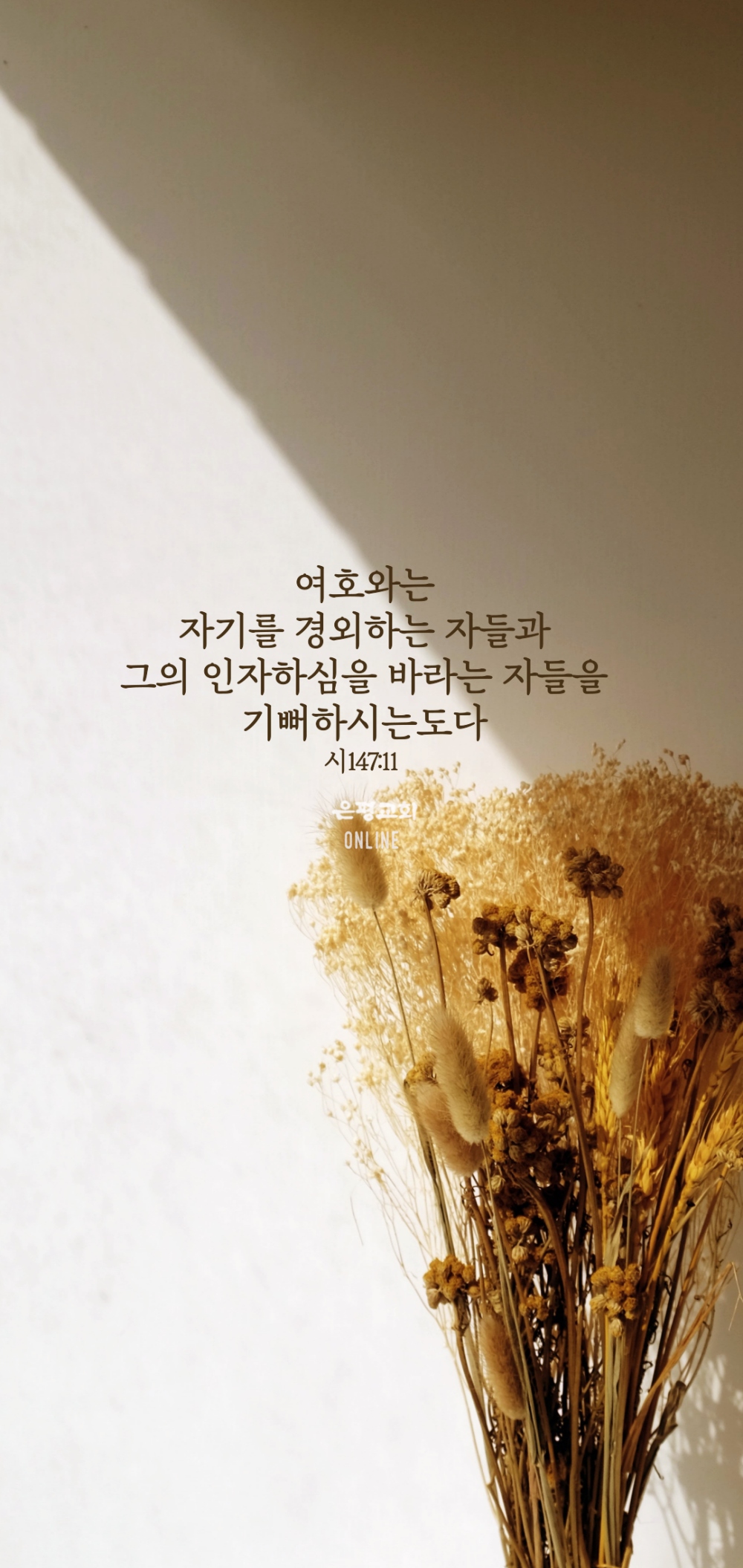 월004.jpg
