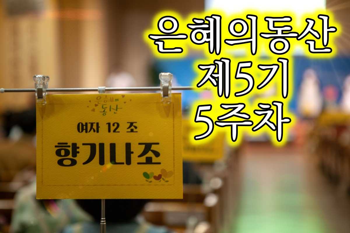 20221106 은동5기 5주차  01.jpg