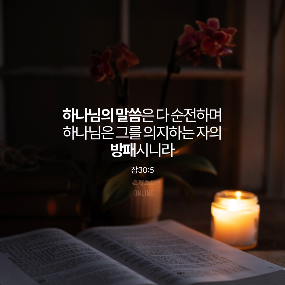 ㅇ001.jpg