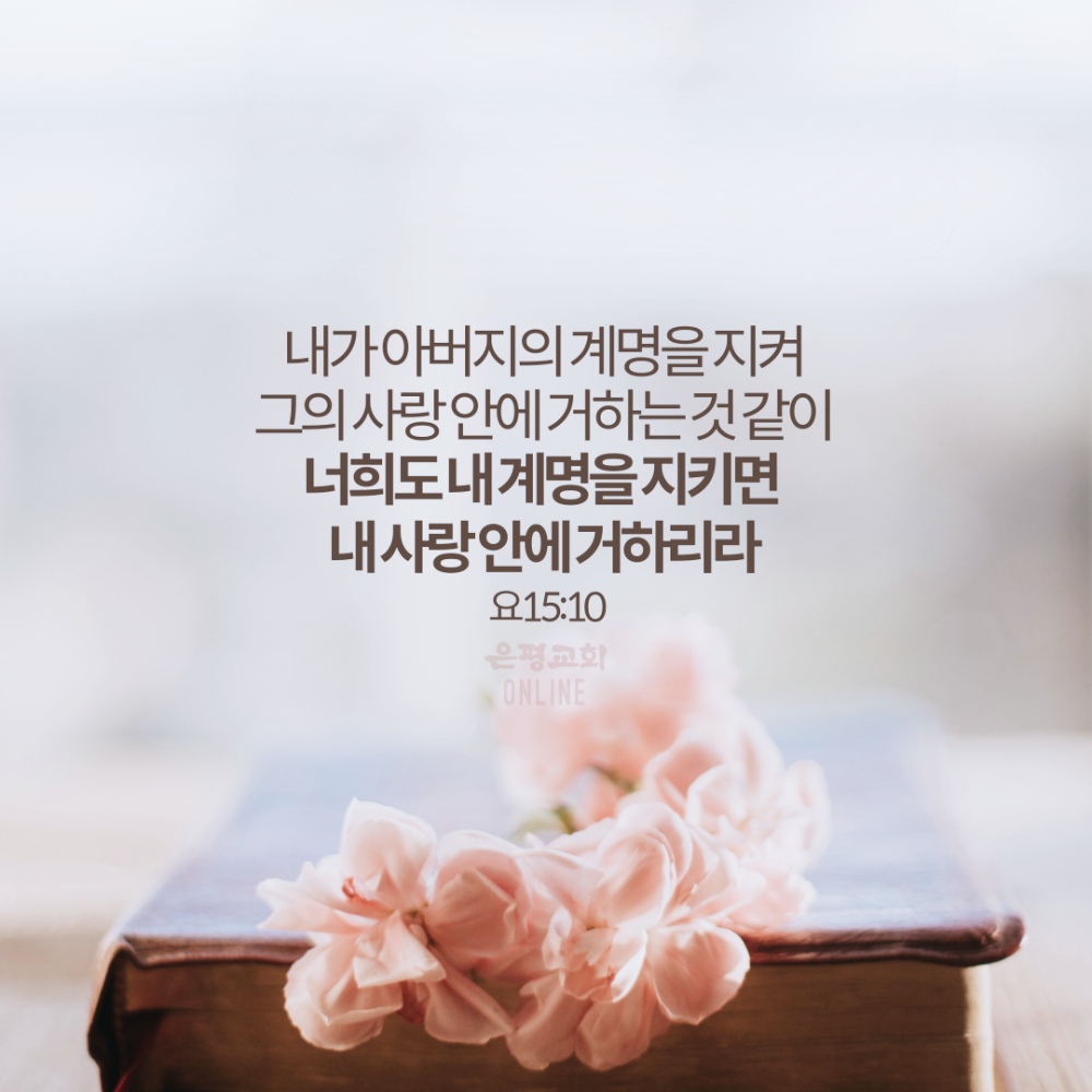 ㅇ005.jpg