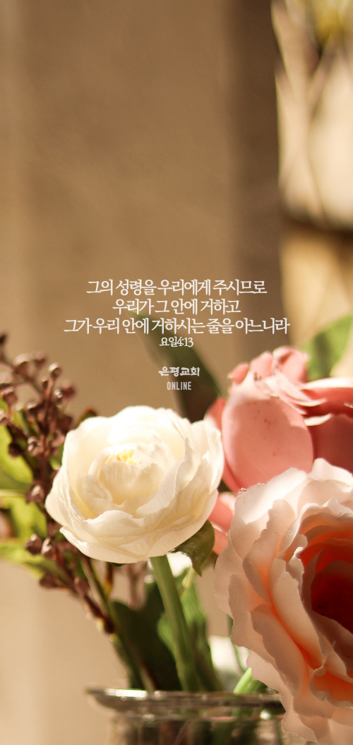 batch_배경1.png