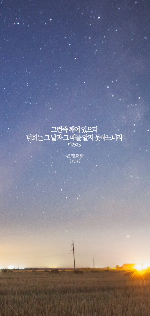batch_배경2.png