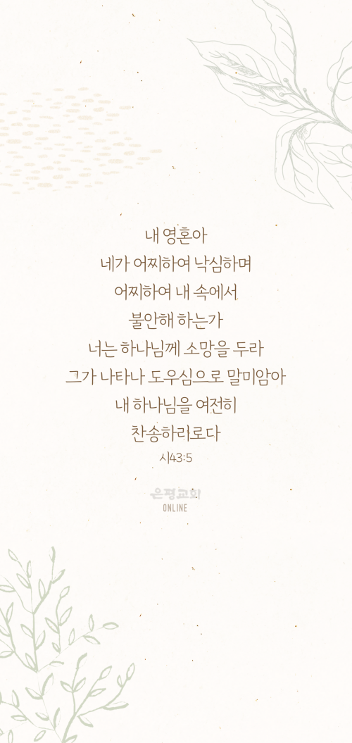batch_배경3.png