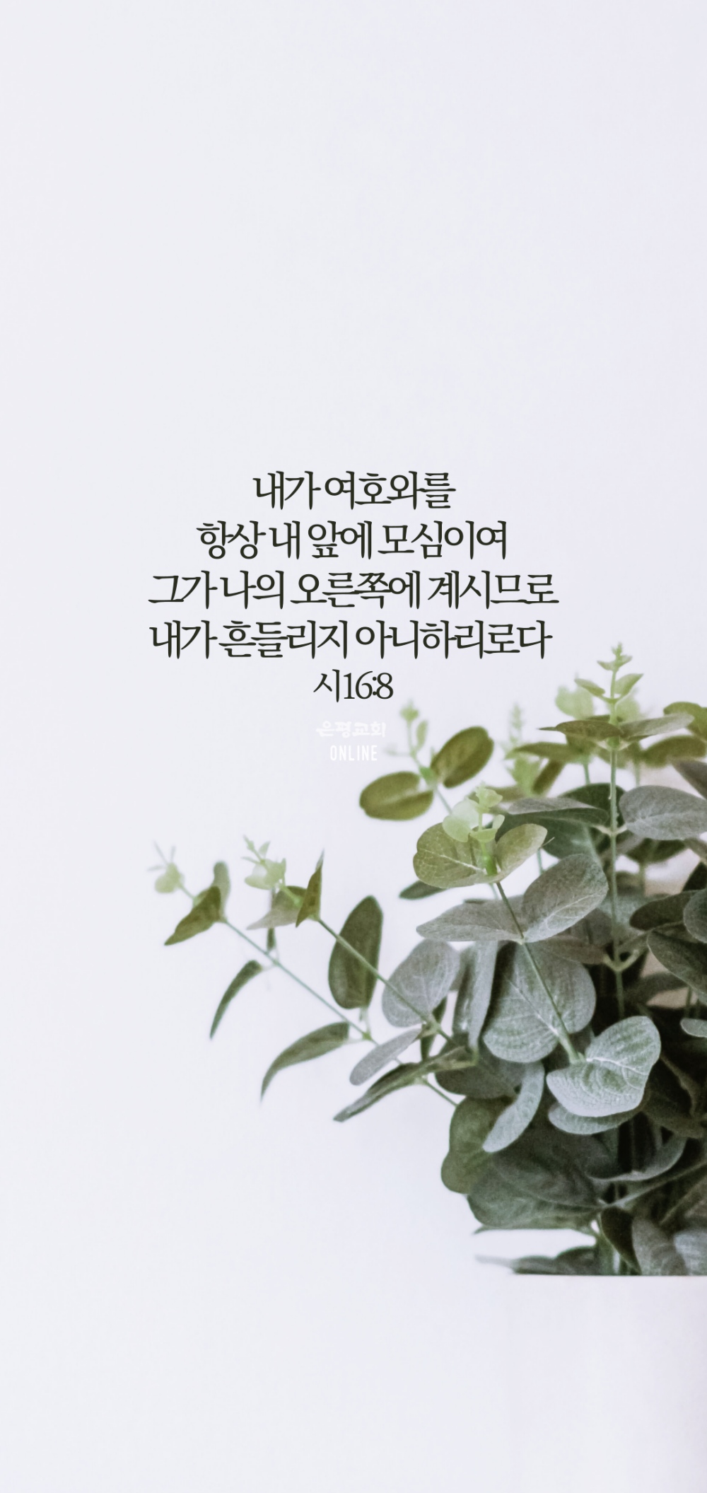 0004.jpg