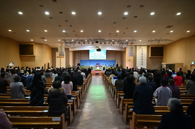 batch_LDA_1656.JPG