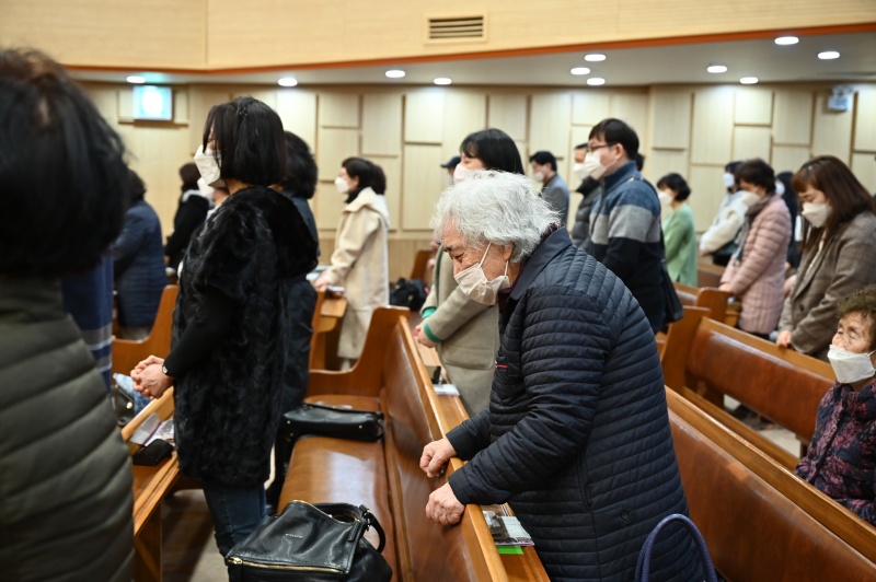 batch_LDA_1660.JPG
