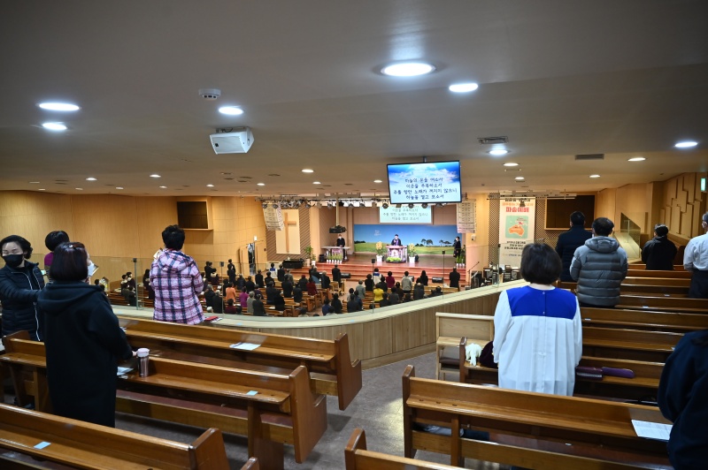 batch_LDA_2087.JPG