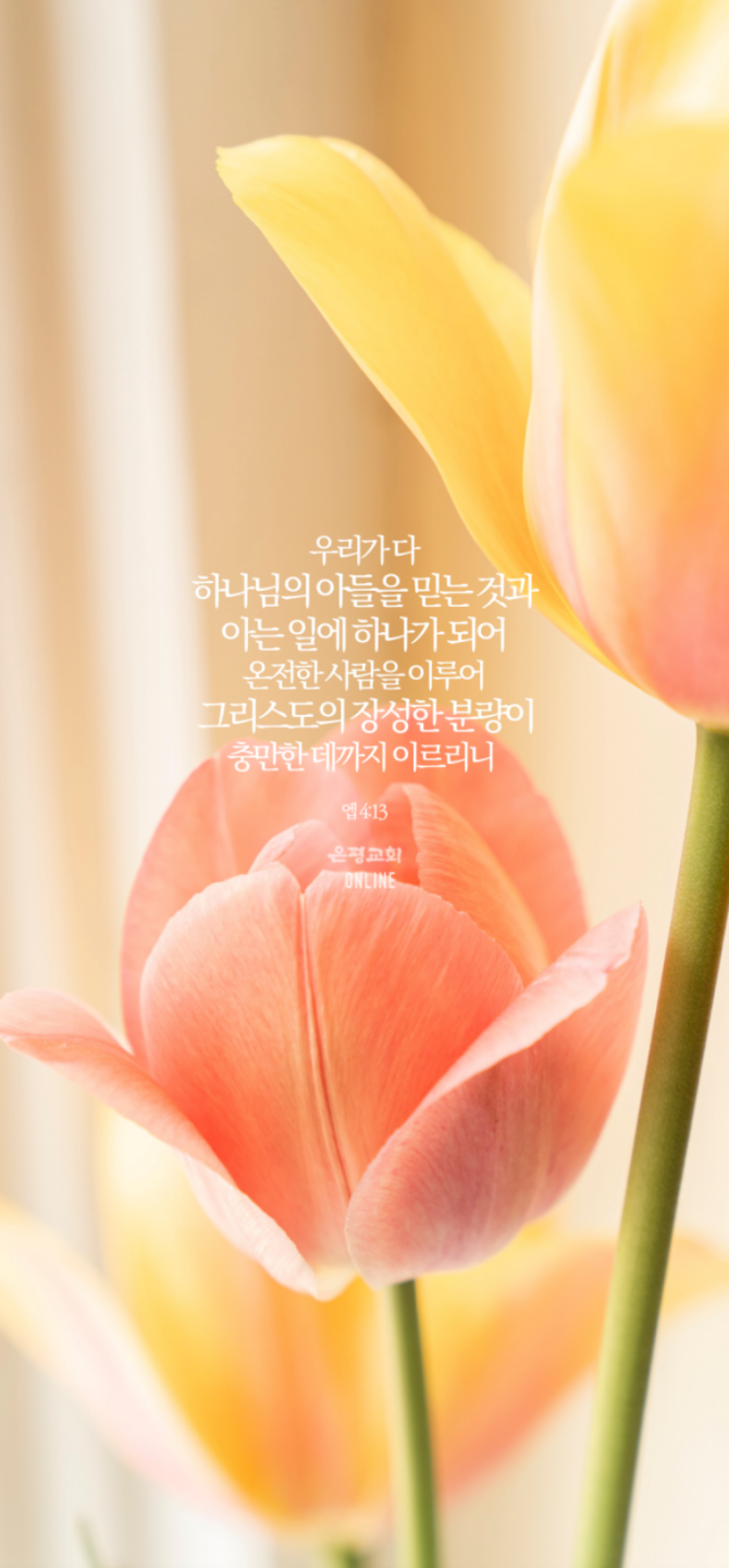 batch_스크린샷 2021-04-02 오전 5.04.56.png