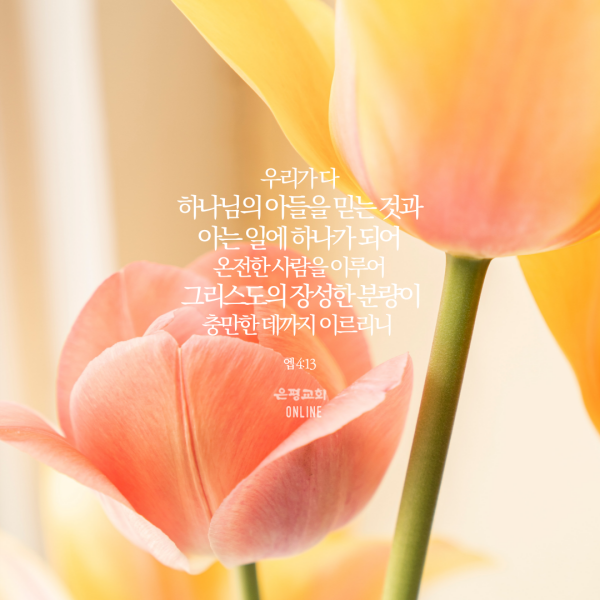 batch_KakaoTalk_Photo_2021-04-02-04-53-20-4.png