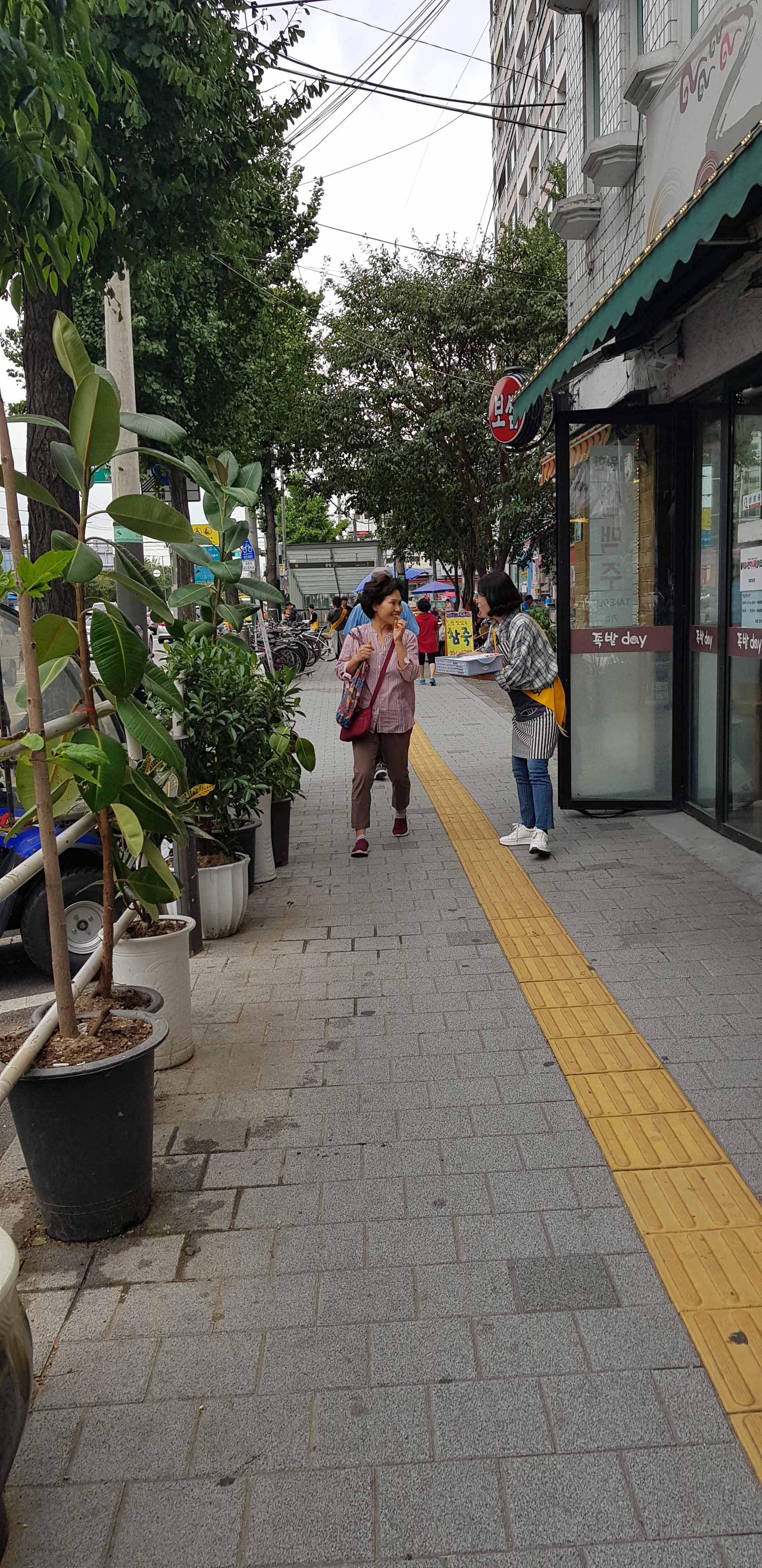 008.jpg